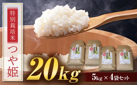 FYN9-112 つや姫 20kg (5kg×4) 山形県 西川町産 白米 ツヤ 甘み 旨み