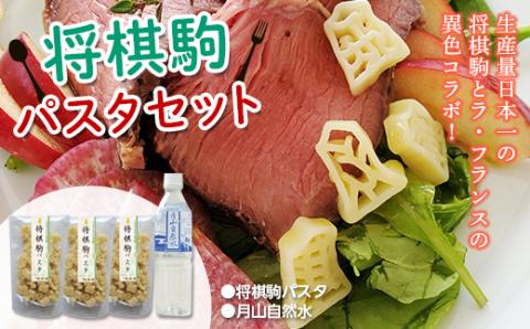 FYN9-484 【玉谷製麺所】将棋駒パスタセット めん 麺 麺類 山形県 西川町