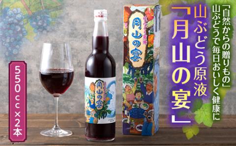 FYN9-424 山ぶどう原液「月山の宴」 2本 ブドウ 飲料 山形県 西川町