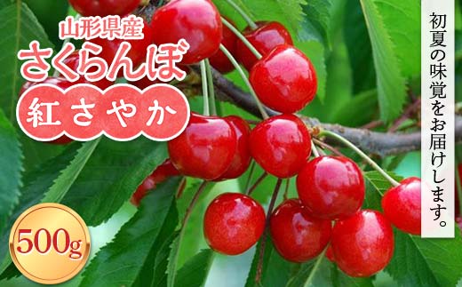 FYN6-051 ≪2026年先行予約≫山形県産 さくらんぼ 紅さやか 500g M～L バラパック詰め 2026年6月上旬から順次発送 果実 果物 くだもの フルーツ 早生 桜桃 サクランボ 自宅用 家庭用 山形県 西川町 月山