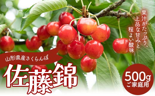 FYN6-052 ≪2026年先行予約≫ご家庭用 山形県産 さくらんぼ 佐藤錦 M バラパック詰め 500ｇ 2026年6月上旬から順次発送 果物 くだもの フルーツ 桜桃 サクランボ 小玉 訳あり 家庭用 自宅用 農業者支援 農家支援 山形県 西川町 月山