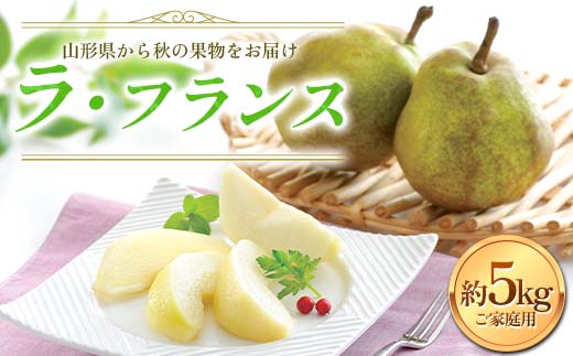 FYN6-057 ≪2026年先行予約≫ご家庭用 山形県産 西洋梨 ラ・フランス 約5kg (12～20玉) 2026年11月中旬から順次発送 洋梨 洋なし ラフランス 秋果実 果物 くだもの フルーツ 訳あり 家庭用 自宅用 産地直送 山形県 西川町 月山