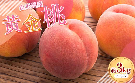 FYN6-114 ≪2026年先行予約≫山形県産 黄金桃 約3kg（8～12玉） 秀品 柔らかくなる 2026年8月中旬から順次発送 黄桃 黄色 桃 もも モモ 果物 くだもの 夏果実 フルーツ 産地直送 山形県 西川町 月山