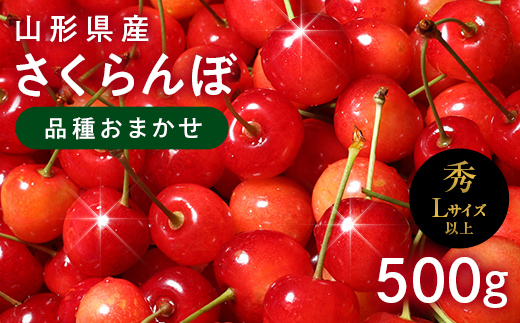 FYN6-250 ≪2026年先行予約≫山形県産 さくらんぼ 品種おまかせ(佐藤錦・紅秀峰など) 500g 秀/L以上 バラパック詰め 2026年6月中旬頃より発送 果物 くだもの フルーツ 夏果実 サクランボ チェリー 桜桃 高級 化粧箱 ギフト箱 贈り物 贈答 ギフト プレゼント 自宅 家庭 産地直送 山形県 西川町 月山