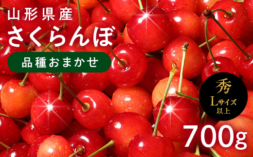 FYN6-255 ≪2026年先行予約≫山形県産 さくらんぼ 品種おまかせ(佐藤錦・紅秀峰など) 700g(350g×2) 秀/L以上 バラパック詰め 2026年6月中旬頃より発送 果物 くだもの フルーツ 夏果実 サクランボ チェリー 桜桃 高級 化粧箱 ギフト箱 贈り物 贈答 ギフト プレゼント 自宅 家庭 産地直送 山形県 西川町 月山