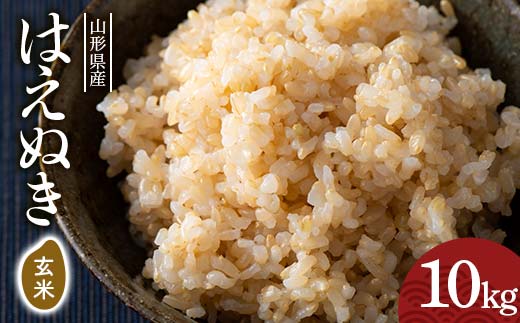 FYN6-282 令和7年度 山形県産 はえぬき 玄米 10kg(5kg×2) お米 米 ごはん ご飯 げんまい 銘柄米 ブランド米 2025年 自宅 家庭 贈り物 プレゼント 贈答 ギフト 食品 山形県 西川町 月山