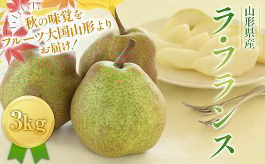 FYN6-427 ≪2026年先行予約≫山形県産 西洋梨 ラ・フランス 3kg (8～12玉) 2026年11月中旬から順次発送 洋梨 洋なし ラフランス 秋果実 果物 くだもの フルーツ ギフト 産地直送 山形県 西川町 月山