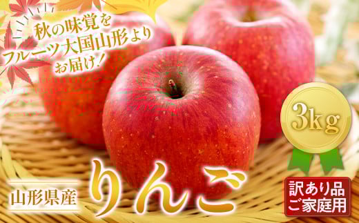 FYN6-431 《2026年先行予約》ご家庭用 山形県産 りんご 3kg 2026年11月下旬から順次発送 林檎 リンゴ 秋果実 冬果実 果物 くだもの フルーツ 訳あり 農業者 農家 支援 自宅 家庭 産地直送 山形県 西川町 月山