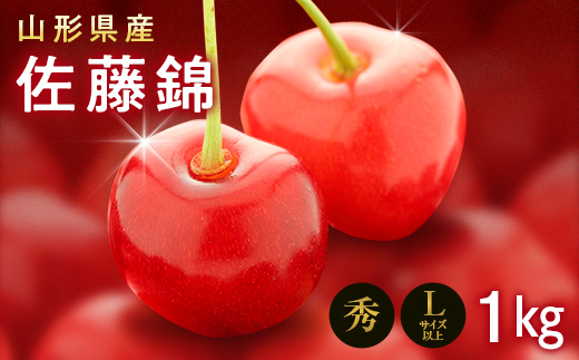 FYN9-256 《2026年先行予約》山形県産 さくらんぼ 佐藤錦 1kg(500g×2) 秀 L以上 バラパック詰め 2026年6月上旬から順次発送 果実 果物くだもの フルーツ 桜桃 サクランボ 化粧箱 贈り物 ギフト 贈答用 家庭用 自宅用 産地直送 山形県 西川町 月山 佐藤錦 1kg(500g×2)