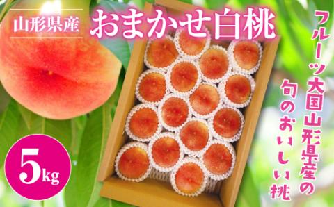 FYN9-381 《2026年先行予約》ご家庭用 山形県産 品種 おまかせ 白桃 約5kg 2026年8月上旬から順次発送 夏果実 果実 果物 くだもの フルーツ 桃 もも ピーチ 家庭用 自宅用 訳あり 農業者 農家 支援品 産地直送 山形県 西川町 月山