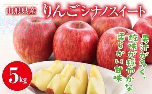 FYN9-382 ご家庭用 山形県産 りんご シナノスイート 約5kg 丸秀以上 2026年10月中旬から順次発送 林檎 りんご リンゴ 秋果実 果物 くだもの フルーツ 自宅用 家庭用 産地直送 期間限定 山形県 西川町 月山