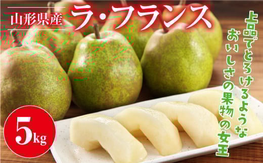 FYN9-387 ≪2026年先行予約≫山形県産 西洋梨 ラ・フランス 5kg(14～20個) 2026年11月上旬から順次発送 洋梨 ラフランス 秋果実 果物 くだもの フルーツ 自宅用 産地直送 山形県 西川町 月山