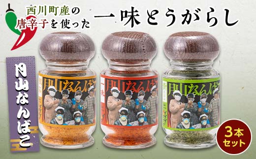 FYN9-528 山形県 西川町産 唐辛子使用！ 月山なんばこ 3種3本セット(激辛・一味・青唐辛子) 調味料 食品 香辛料 スパイス 唐辛子 とうがらし 辛い 手作り 命がけ 山形県 西川町 月山