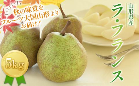 FYN9-596 ≪2025年先行予約≫山形県産 西洋梨 ラ・フランス 5kg (13～18玉) 2025年11月上旬から順次発送 洋梨 洋なし ラフランス 秋果実 果物 くだもの フルーツ ギフト 産地直送 山形県 西川町 月山