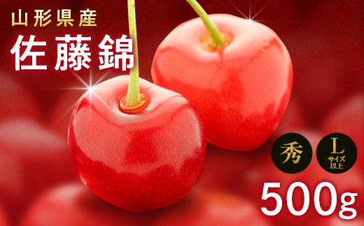 FYN9-601 《2026年先行予約》山形県産 さくらんぼ 佐藤錦 500g 秀 L以上 バラパック詰め 2026年6月上旬から順次発送 果実 果物くだもの フルーツ 桜桃 サクランボ 化粧箱 贈り物 ギフト 贈答用 家庭用 自宅用 産地直送 山形県 西川町 月山 佐藤錦 500g
