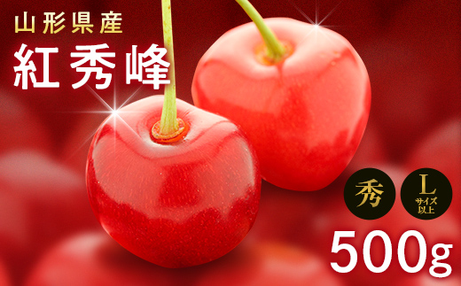 FYN9-602 《2026年先行予約》山形県産 さくらんぼ 紅秀峰 500g 秀 L以上 バラパック詰め 2026年6月中旬から順次発送 果実 果物くだもの フルーツ 桜桃 サクランボ 化粧箱 贈り物 ギフト 贈答用 家庭用 自宅用 産地直送 山形県 西川町 月山 紅秀峰 500g