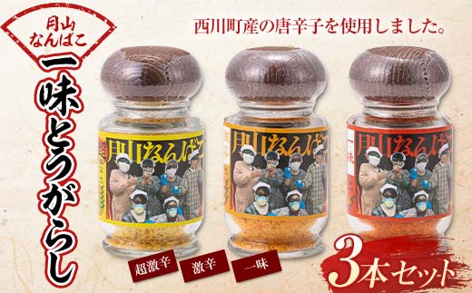 FYN9-644 山形県 西川町産 唐辛子使用！ 月山なんばこ 3種3本セット(超激辛・激辛・一味) 調味料 食品 香辛料 スパイス 唐辛子 とうがらし 辛い 手作り 命がけ 山形県 西川町 月山