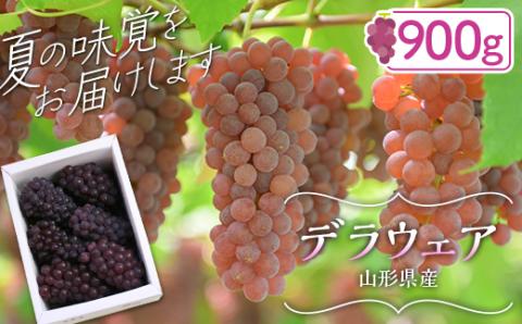 FYN9-918 ≪2026年先行予約≫山形県産 デラウェア 900g(5～8 房) 秀品 2026年8月上旬から順次発送 種無し 小粒 食べやすい ぶどう ブドウ 葡萄 くだもの 果物 フルーツ 夏果実 箱入り 中元 贈り物 ギフト 自宅 家庭 産地直送 山形県 西川町 月山