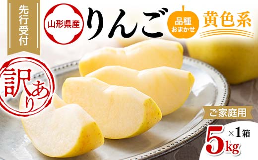 FYN9-969 ≪2025年先行予約≫ ご家庭用 山形県産 品種おまかせ りんご 黄色系 5kg 2025年10月上旬から順次発送 林檎 リンゴ 果物 くだもの フルーツ 秋果実 冬果実 家庭用 自宅用 訳あり 農業者 農家 支援品 西川町 月山