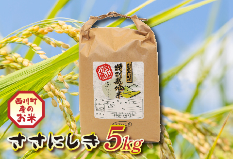 FYN9-206 山形県西川町産 ササニシキ 5kg 白米 香り あっさり 食感
