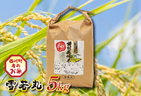 FYN9-204 山形県西川町産 雪若丸 5kg 白米 ツヤ 食感 粘り