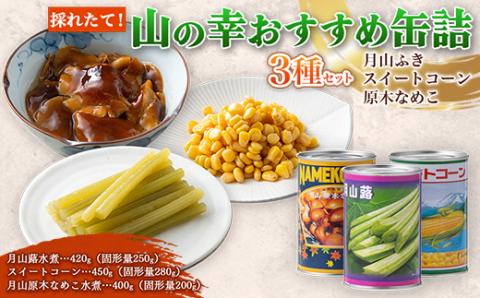 FYN9-543 採れたて山の幸 山菜 きのこなど おすすめ缶詰3種セット（月山ふき・スイートコーン・原木なめこ） 水煮 加工食品 山形県 西川町