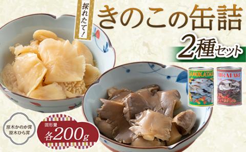 FYN9-545 きのこの缶詰２種セット（原木ひら茸・原木かのか茸）（400g×2種） 水煮 加工食品 山形県 西川町
