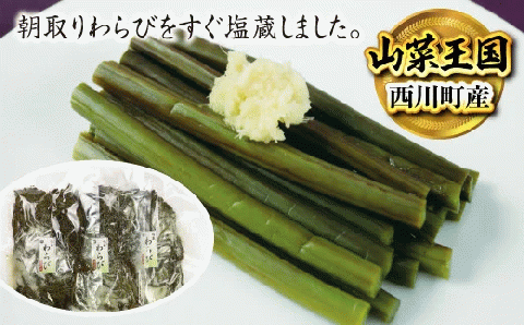 FYN9-230 《国産》塩蔵わらび 西川町産 3kg （1kg×3パック）