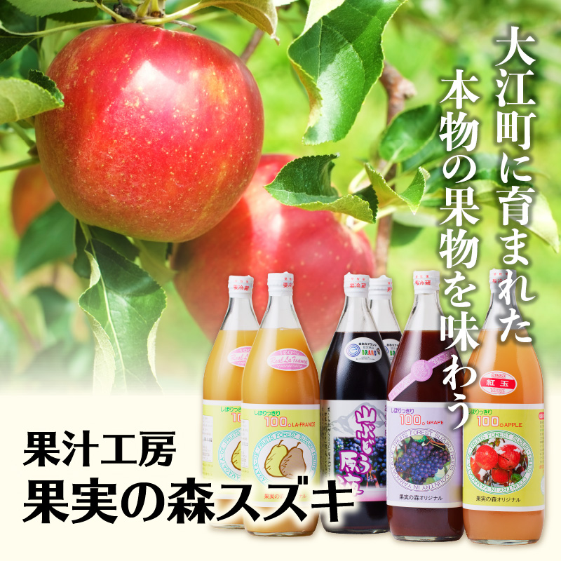 大江の恵 山ぶどう3本ギフト(各500ml)