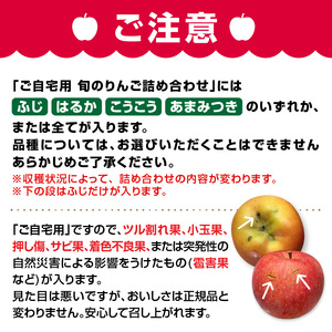 《先行受付》訳あり 旬のりんご詰合せ約10kg（サンふじ確約3種以上）【2026年12月上旬頃～発送予定】【大江町産・山形りんご・りんご専科 清野】