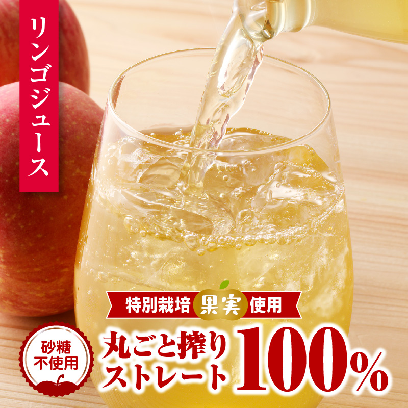 やまがた リンゴジュース1L×6本