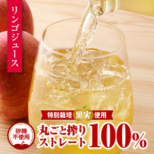 やまがた リンゴジュース1L×6本