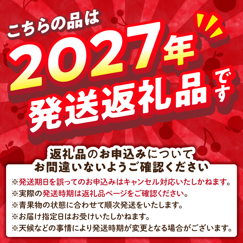 《先行受付》【2027年2月発送予定】 訳あり 雪室りんごサンふじ 約5kg【大江町産・山形りんご・大地農産】