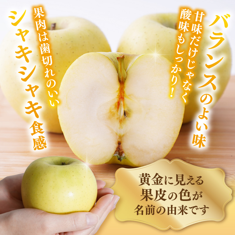 《先行受付》大江町産 りんご シナノゴールド約3kg  【2026年5月上旬頃～順次発送予定】