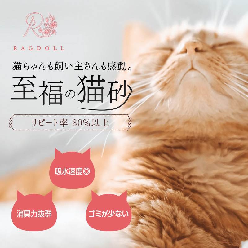 RAGDOLLプレミアムサンド猫砂5kg×2袋(10kg)