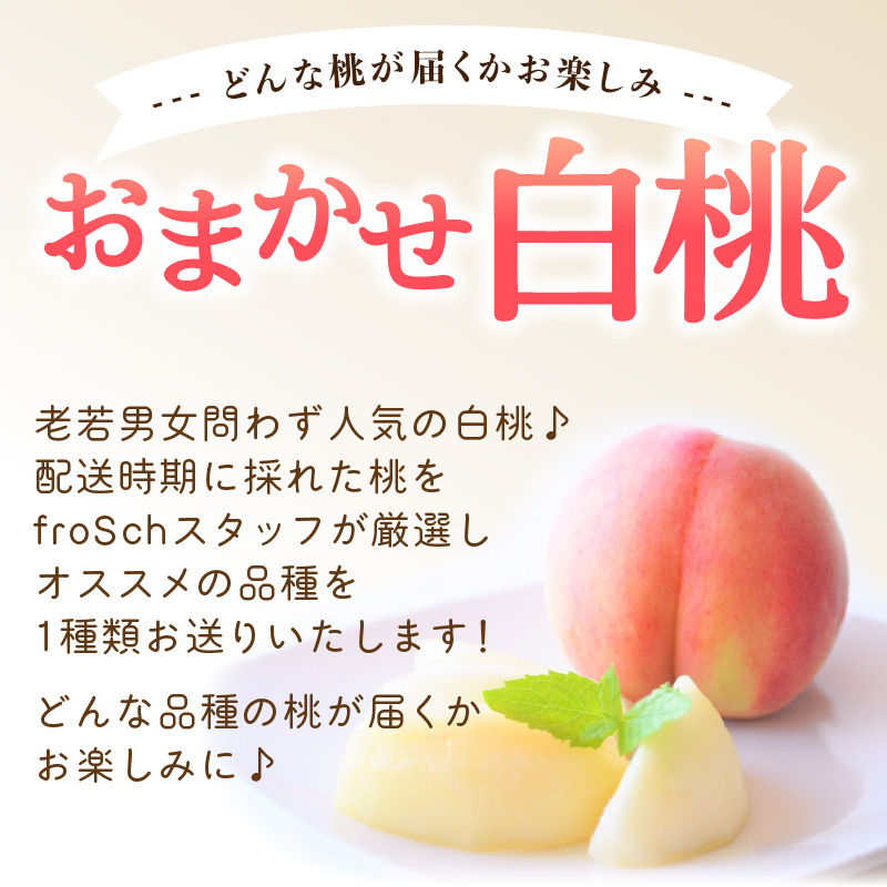 ≪先行受付≫ froSchがお届けするおまかせ白桃 約2kg 【2026年7月下旬より順次発送予定】