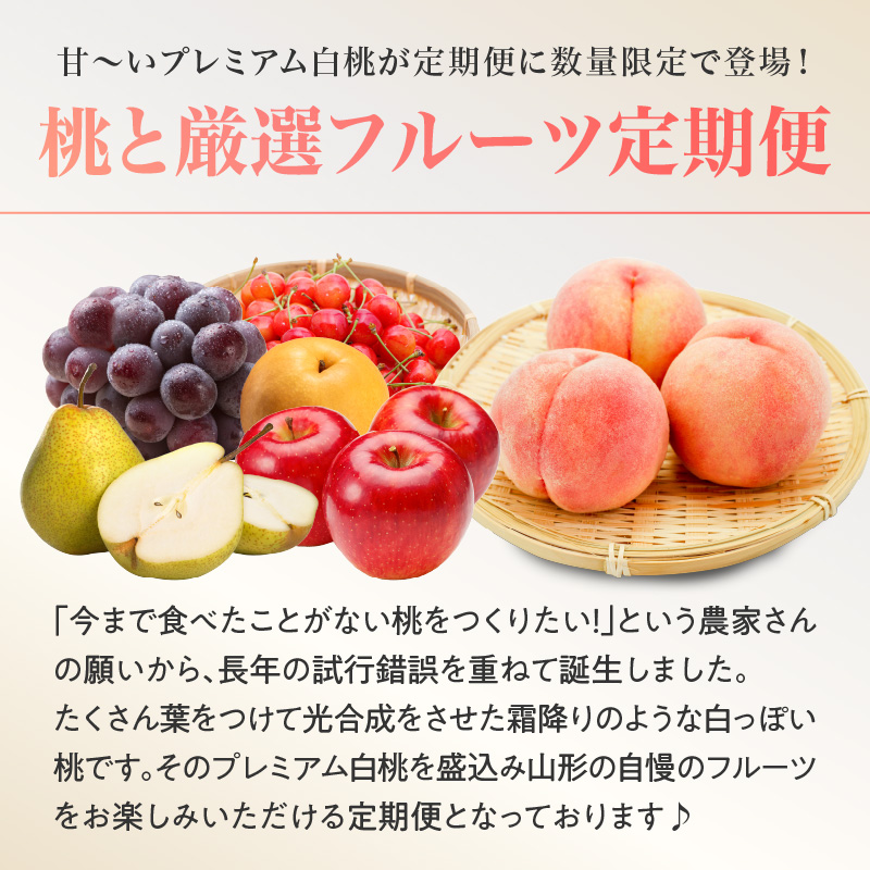 《先行受付》プレミアム白桃と5種便【定期便全5回】