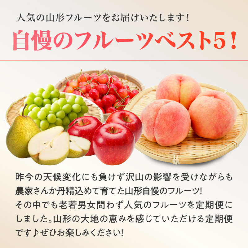 《先行受付》山形フルーツ人気ベスト５★【定期便全5回】