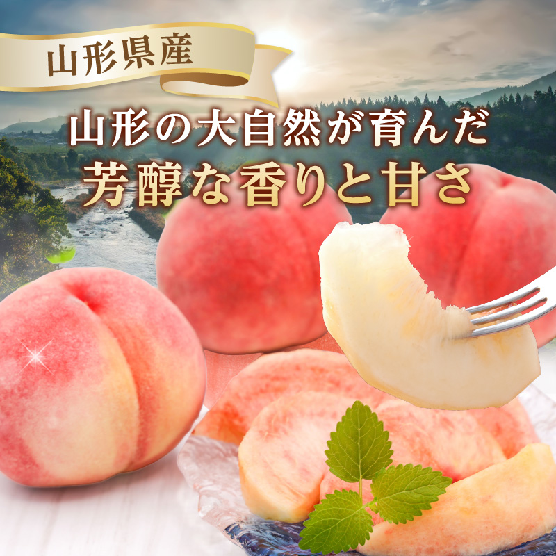 《先行受付》★硬い白桃（品種おまかせ）★約3kg(6～12玉程度)秀品【2026年8月中旬頃～順次発送予定】