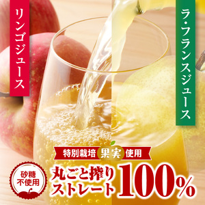 リンゴ＆ラ・フランスジュースとシロップ漬け（大）つめあわせセット【リンゴジュース、ラ・フランスジュース1L各2本、ラ・フランスシロップ漬け450g×4個】