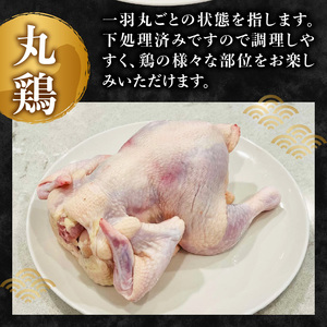 やまがた地鶏 丸鶏