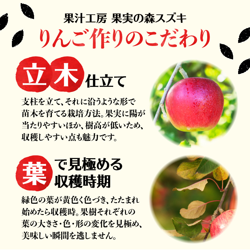 大江の恵6本ギフト山ブドウ原液・ラ・フランス・ぶどう・紅玉各1000ml）