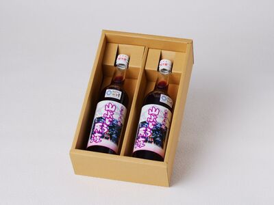 大江の恵 山ぶどう原液2本セット(各500ml）