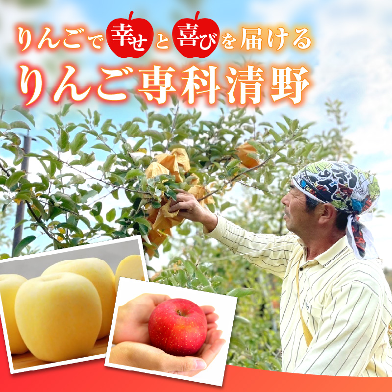   《先行受付》家庭用 雪蔵貯蔵 サンふじ 約5kg【2026年4月上旬頃～発送予定 冷蔵お届け】【大江町産・山形りんご・りんご専科 清野】