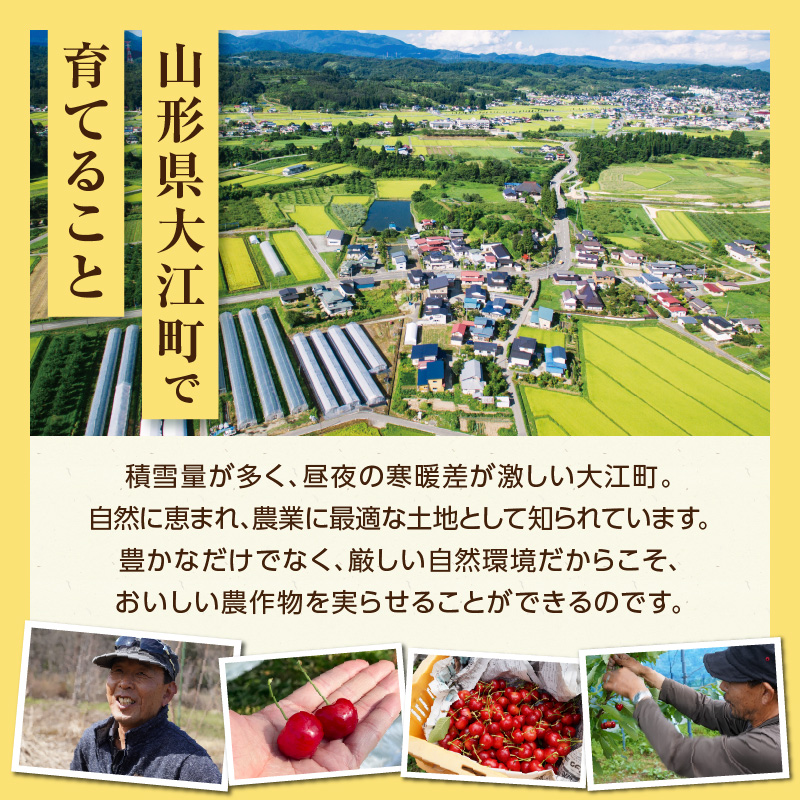《先行受付》枝豆（味風香）約1kg【2026年7月下旬より順次発送予定】