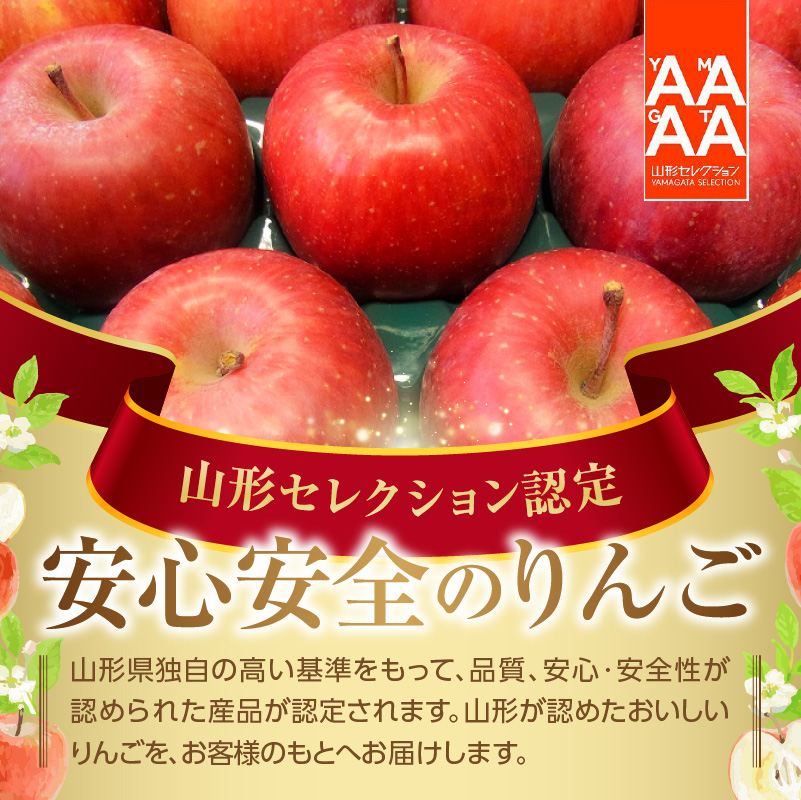 《先行受付》特別栽培 贈答規格サンふじ約5kg 【2026年12月中旬頃～発送予定】