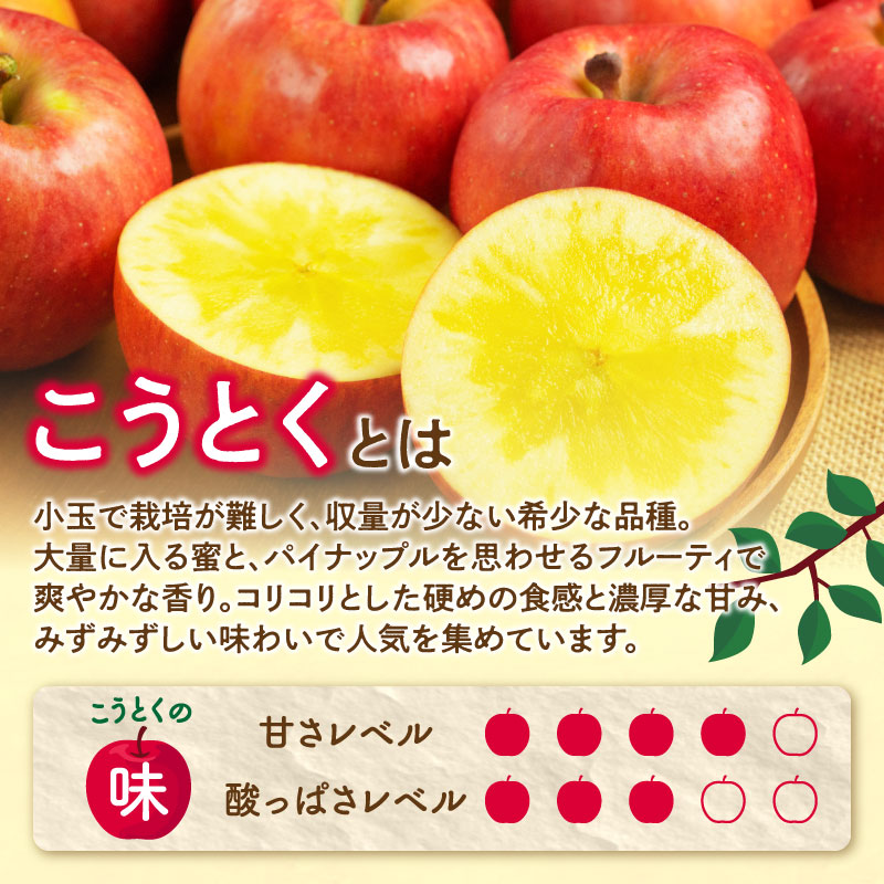  《先行受付》特選こうとくりんご約2.5kg 【2026年11月中旬頃～発送予定】【大江町産・山形りんご・大地農産・11月・12月】