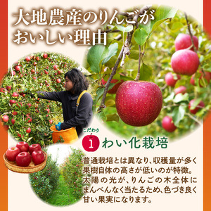 《先行受付》【2027年1月発送予定】 最高級 特選大玉サンふじ約3kg 【大江町産・山形りんご・大地農産】