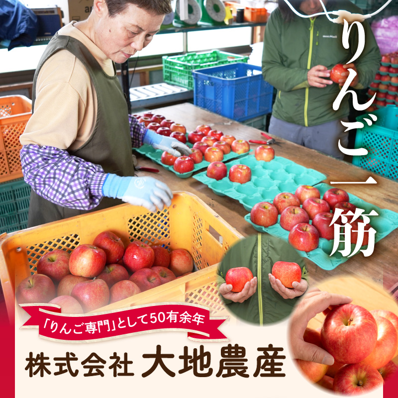 《先行受付》【2027年2月発送予定】 訳あり 家庭用サンふじ約10kg 【大江町産・山形りんご・大地農産】