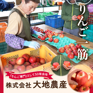 《先行受付》【2027年3月発送予定】 最高級 特選大玉サンふじ約3kg【大江町産・山形りんご・大地農産】